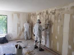 Environmental Consulting for Mold Prevention in Dayton, OH